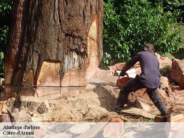 Abattage d'arbres Côtes-d'Armor 