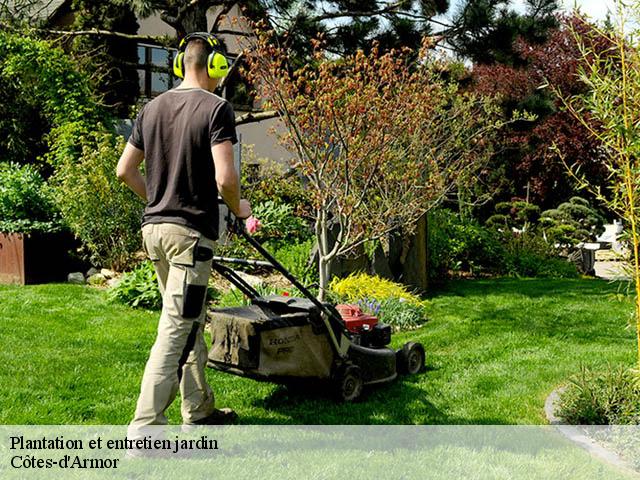 Plantation et entretien jardin Côtes-d'Armor