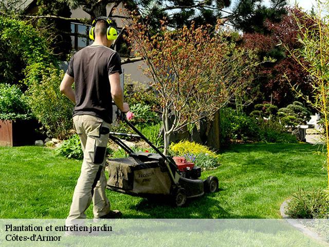 Plantation et entretien jardin Côtes-d'Armor 