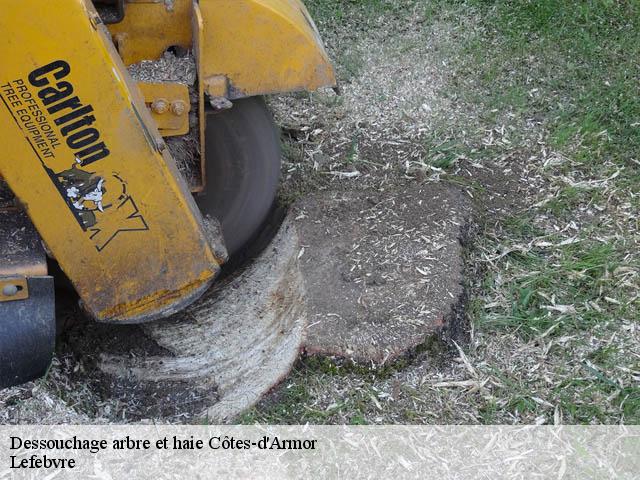 Dessouchage arbre et haie 22 Côtes-d'Armor  Lefebvre