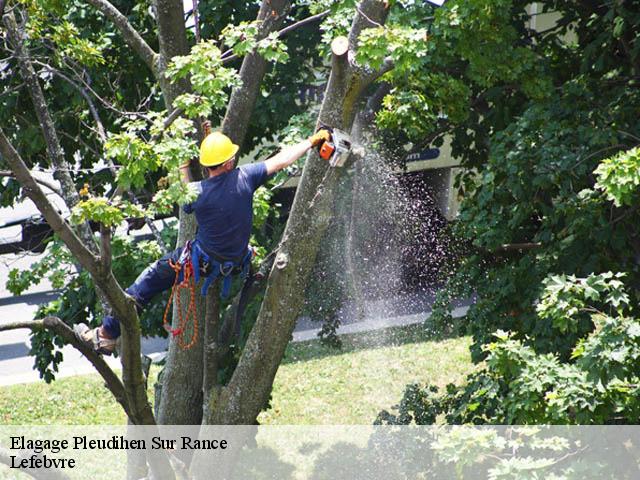 Elagage  pleudihen-sur-rance-22690 Lefebvre