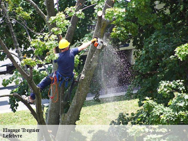 Elagage treguier-22220 Lefebvre