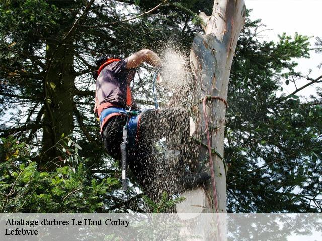 Abattage d'arbres  le-haut-corlay-22320 Lefebvre