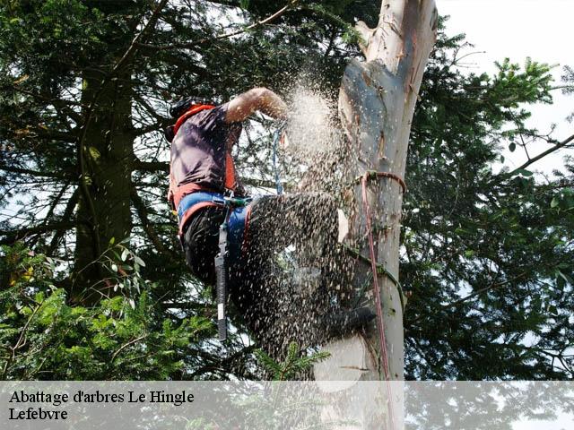 Abattage d'arbres  le-hingle-22100 Lefebvre