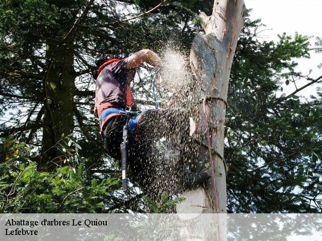 Abattage d'arbres le-quiou-22630 Lefebvre