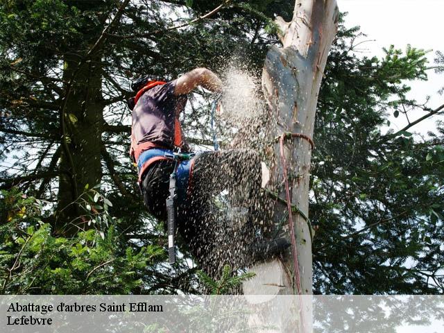 Abattage d'arbres  saint-efflam-22310 Lefebvre