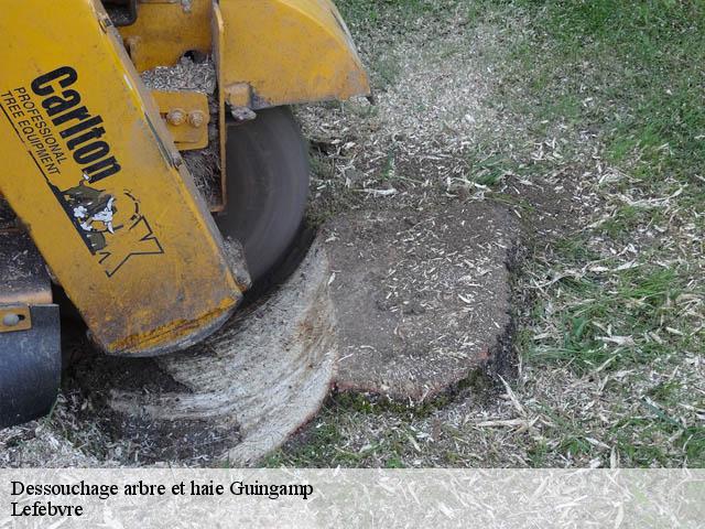 Dessouchage arbre et haie  guingamp-22200 Lefebvre