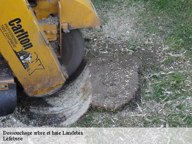 Dessouchage arbre et haie  landebia-22130 Lefebvre