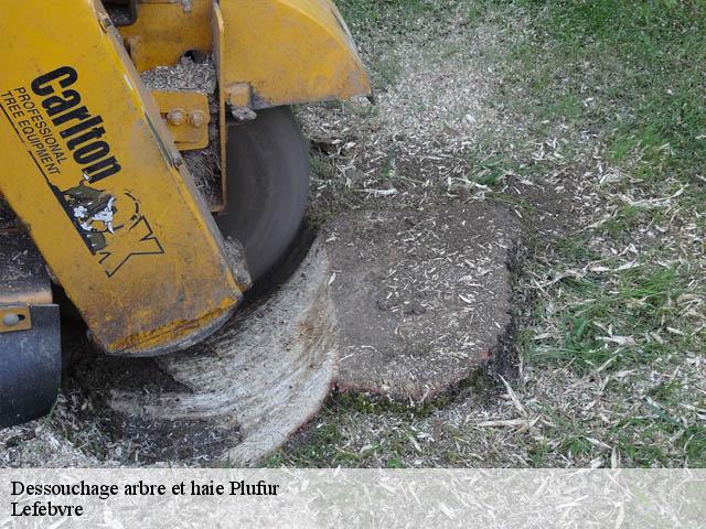 Dessouchage arbre et haie  plufur-22310 Lefebvre