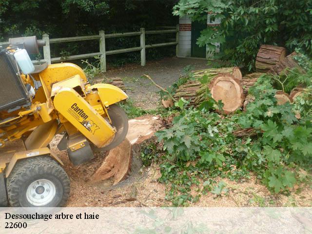 Dessouchage arbre et haie 22600