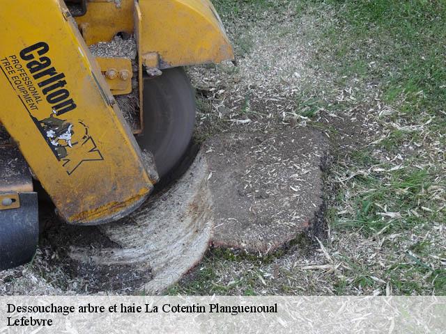 Dessouchage arbre et haie  la-cotentin-planguenoual-22400 Lefebvre