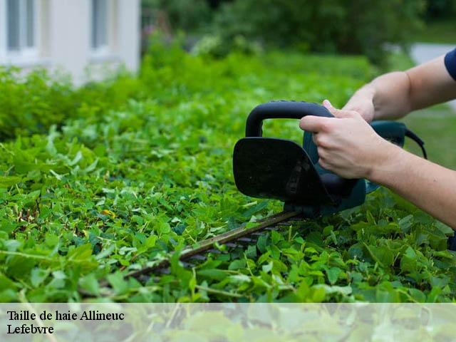 Taille de haie  allineuc-22460 Lefebvre