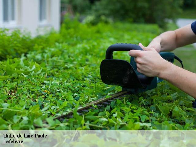 Taille de haie  paule-22340 Lefebvre