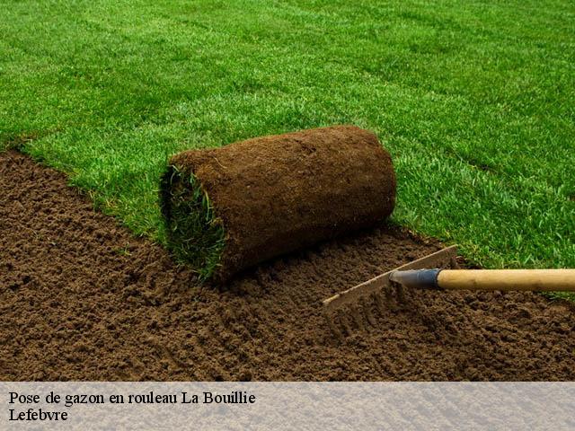 Pose de gazon en rouleau la-bouillie-22240 Lefebvre