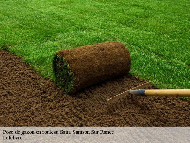 Pose de gazon en rouleau  saint-samson-sur-rance-22100 Lefebvre