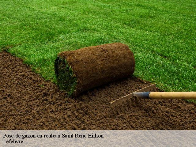 Pose de gazon en rouleau saint-rene-hillion-22120 Lefebvre