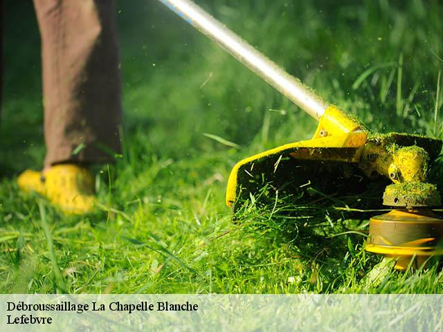 Débroussaillage  la-chapelle-blanche-22350 Lefebvre