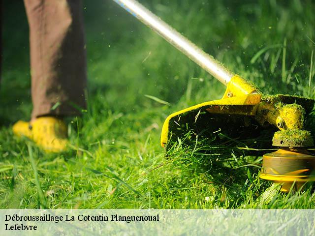 Débroussaillage  la-cotentin-planguenoual-22400 Lefebvre